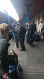 RAILPOL - v obvode železničných dráh  akcia Červené zlato