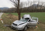 Vodič po náraze do stromu utrpel ťažké zranenia