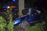 Mladý vodič narazil do stromu