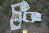 159 
