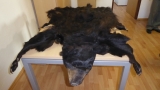 V balíku chcel doviezť zuby a aj kožu z medveďa