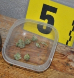 Muži čelia obvineniu z drogovej trestnej činnosti 