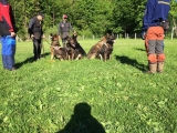  Jarné preškolenie kynológov na Pieninách