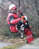 Slovensko má za sebou prvé neoficiálne majstrovstvá v Dog Military Parkur