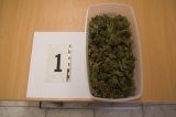 Muž prechovával 272 dávok marihuany
