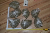 Policajti si posvietili na trestnú činnosť v Šoporni